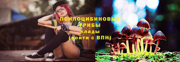 индика Киренск