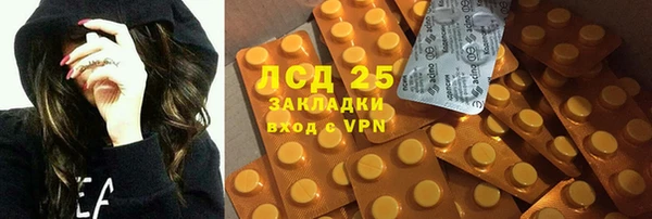 индика Киренск