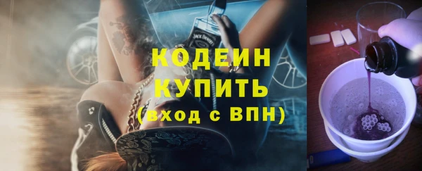 дживик Кострома