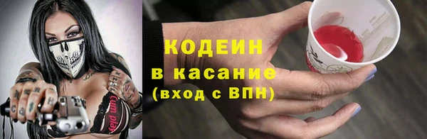 индика Киренск
