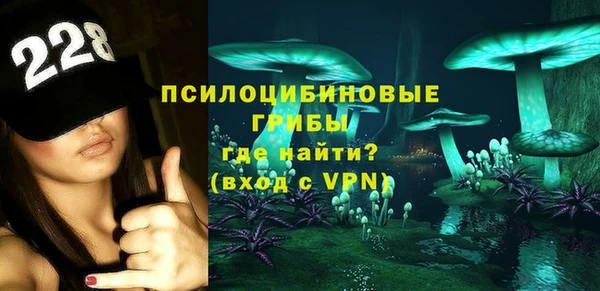 дживик Кострома