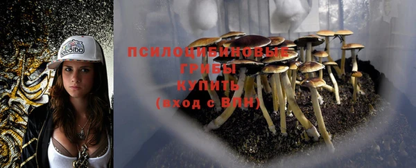 индика Киренск