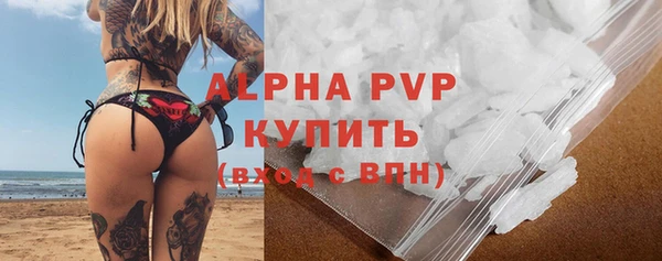 индика Киренск